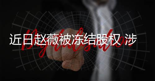 额达2万近日结股家公权 被冻赵薇涉多司数